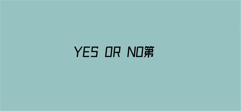 YES OR NO第二季